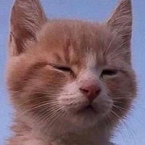 Meet your Posher, Lee